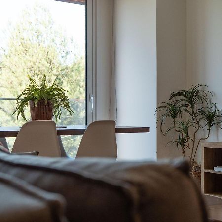 Alpes Da Montanha 501 - Apartamento Em グラマド エクステリア 写真